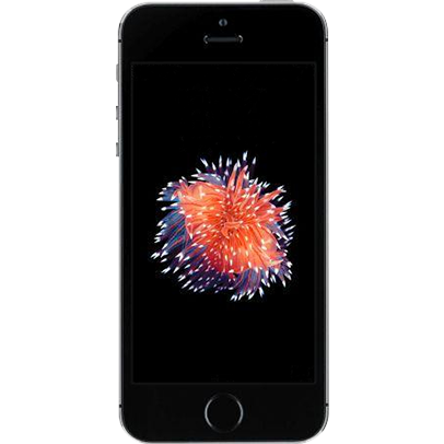 Imagem do iPhone SE