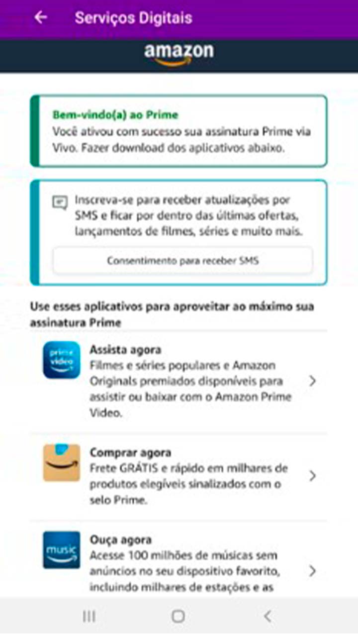 Captura de tela da seção Serviços Digitais com as funcionalidades do Amazon Prime.