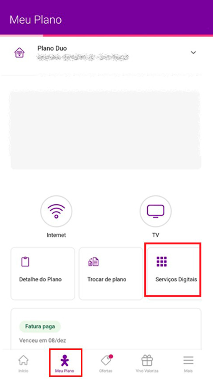 Captura de tela da seção Meu Plano indicando clique na seção Serviços Digitais.