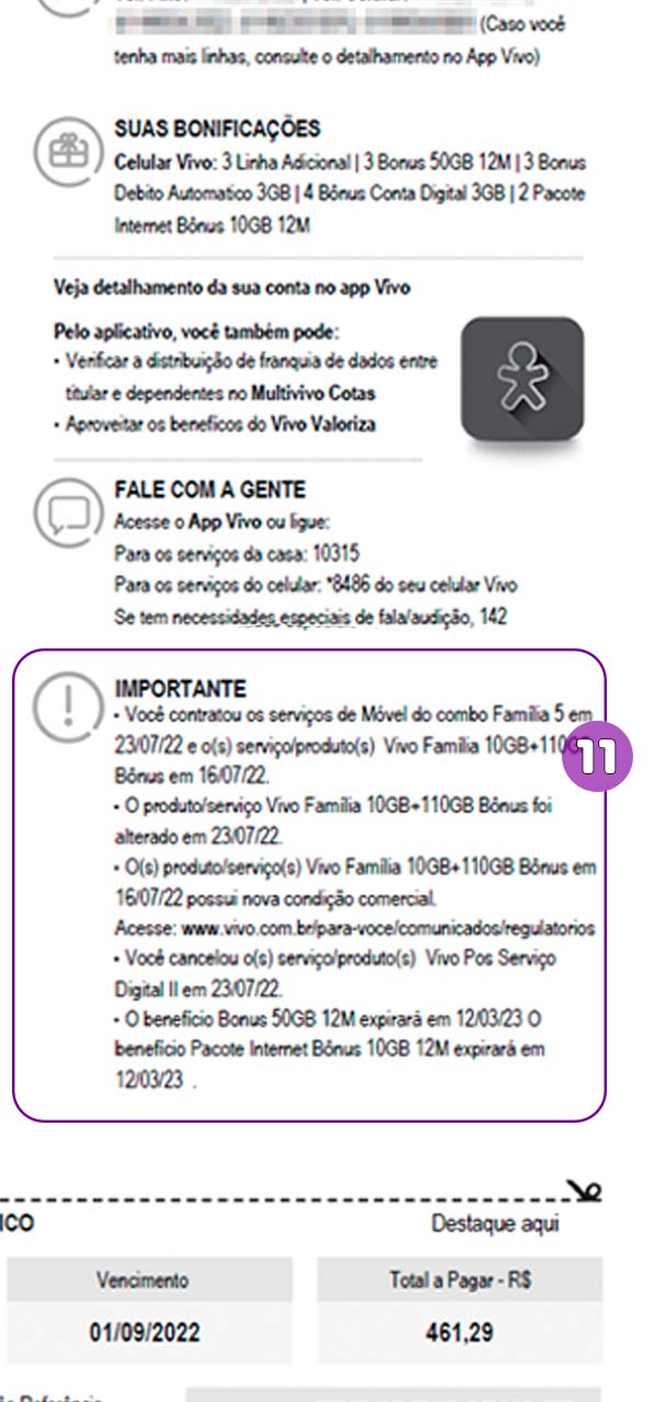 Corte de imagem da fatura Vivo com foco na seção Importante.