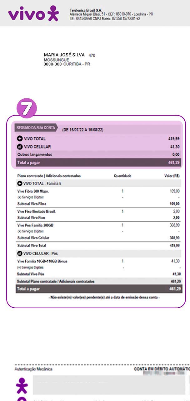 Corte de imagem da fatura Vivo com foco no Resumo da Conta.