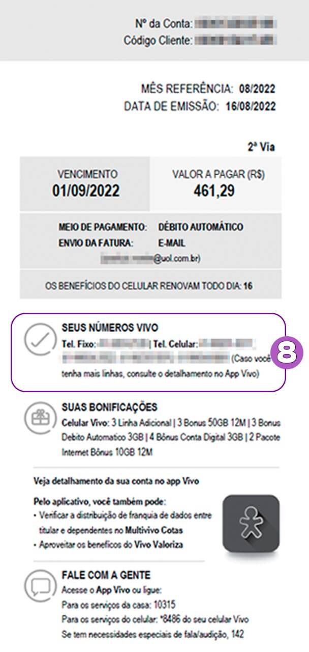 Nesse campo estão os números Vivo referentes a essa fatura.
