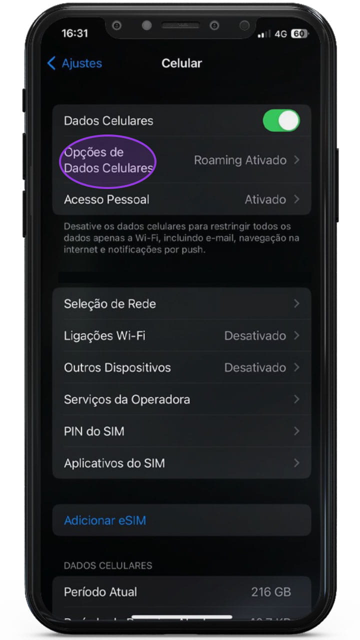Captura de tela da seção Descubra indicando clique na seção Meu Plano.