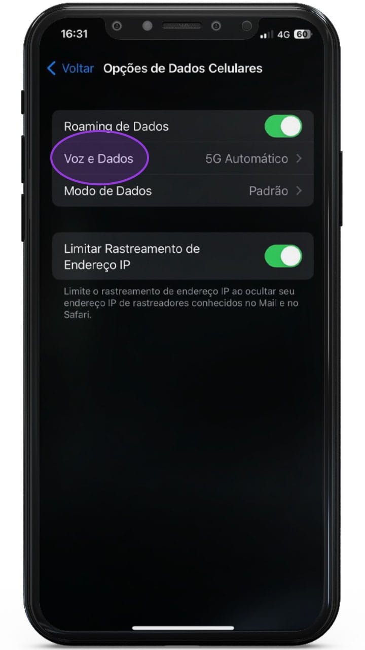 Captura de tela da seção Meu Plano indicando clique no botão Ver mais das minhas contas.