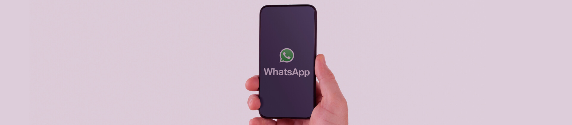 Imagem de uma mão segurando um smartphone onde é exibido o logo do WhatsApp, atrás um fundo rosado.