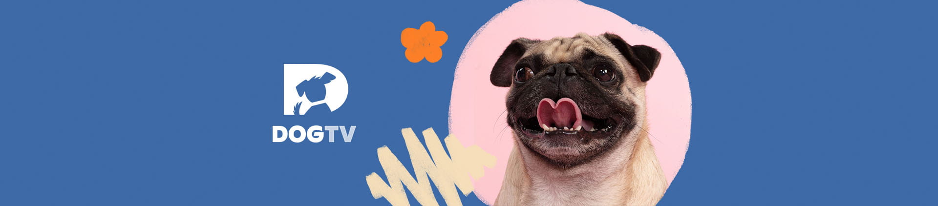 Imagem de um cachorro da raça Pug com a lingua de fora. Ao lado o logo da DogTv